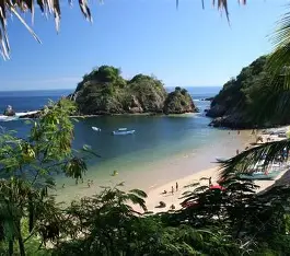 Sea turtle nesting at Playa La Escobilla, Oaxaca, during annual olive ridley arribada